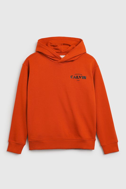 Дет. Толстовка Calvin Klein Jeans