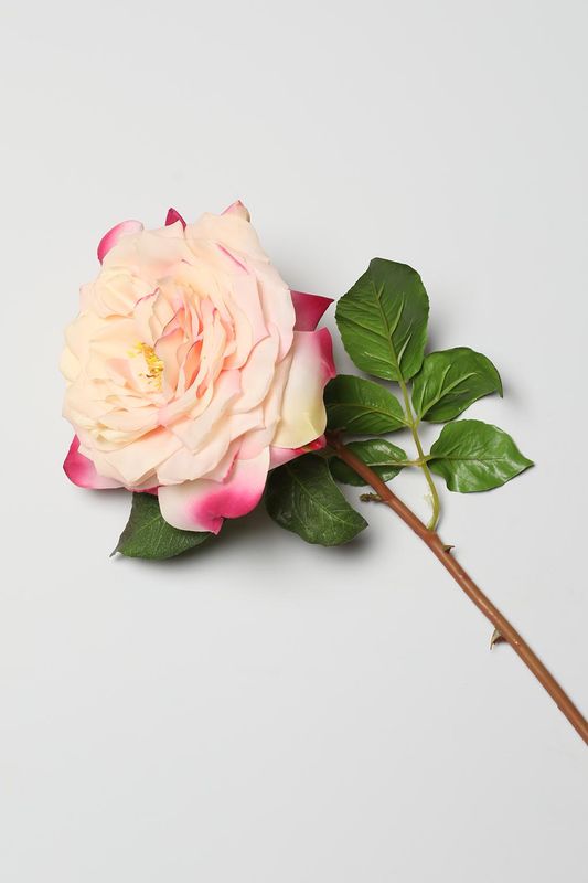 Декоративный цветок Rosa EDG