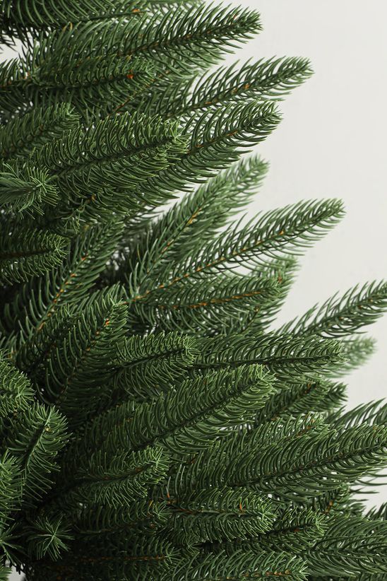 Ель искусственная литая Тихоокеанская 1,8 м Max Christmas - 1 Ель искусственная литая Тихоокеанская 1,8 м Max Christmas - 1